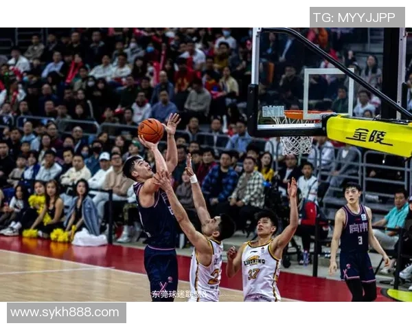 广东华南虎与辽宁飞豹对决分析及比赛展望 广东华南虎与辽宁飞豹对决分析及比赛展望