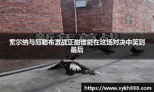 索尔纳与厄勒布激战正酣谁能在这场对决中笑到最后